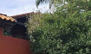 Imagem 3: Chácara em Chacara Vitiello com 2 casas, Boituva/SP