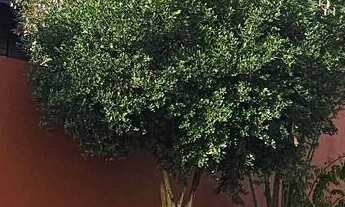 Imagem 4: Chácara em Chacara Vitiello com 2 casas, Boituva/SP