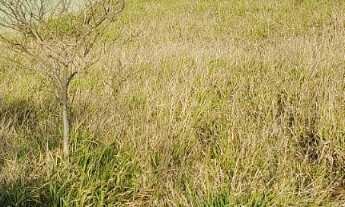 Imagem 2: Terreno Terreno em Portal Ville Jardins, Boituva/SP