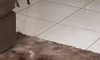 Imagem 3: Apartamento em Recanto das Primaveras II, Boituva/SP