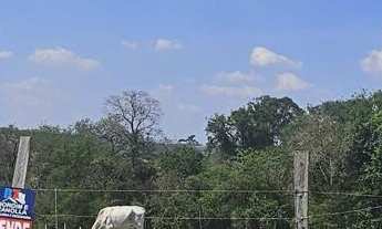 Imagem 4: Terreno em Americana, Boituva/SP