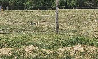 Imagem 6: Terreno em Americana, Boituva/SP