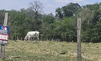 Imagem 5: Terreno em Americana, Boituva/SP