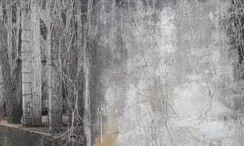 Imagem 6: Chácara em Área Rural de Tatuí, Tatuí/SP