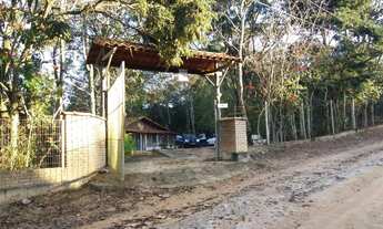 Imagem 5: Sítio para Venda em Vila Ipê Amarelo Contagem-MG