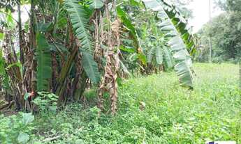 Imagem 3: Sítio Sítio, 4 dormitórios na Avenida Jesuina Bernardino Pinto
