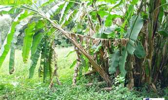 Imagem 6: Sítio Sítio, 4 dormitórios na Avenida Jesuina Bernardino Pinto