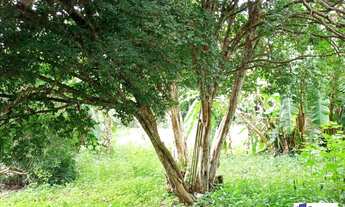 Imagem 5: Sítio Sítio, 4 dormitórios na Avenida Jesuina Bernardino Pinto