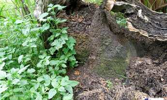 Imagem 4: Sítio Sítio, 4 dormitórios na Avenida Jesuina Bernardino Pinto