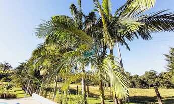 Imagem 4: 3 RIACHOS - GOV CELSO RAMOS .???? Imperdível! Chácara dos Sonhos com Casa, Piscina, Pomar