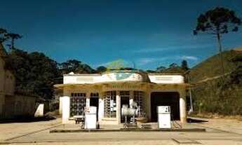 Imagem 7: Terreno em Rancho Queimado com aproximados 13 mil Pés de Pinus com 25 anos - 104 Metros de