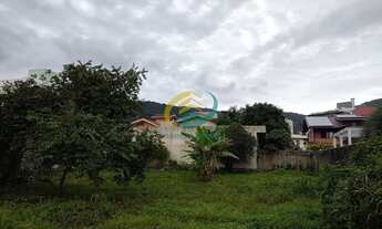 Imagem 3: Terreno no Jd Anchieta - Córrego grande - Mega Oportunidade !!!!!!!!!!!!!!!