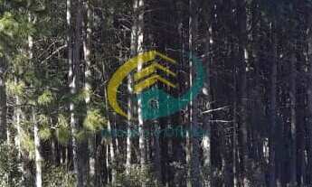 Imagem: Terreno em Rancho Queimado com aproximados