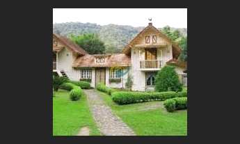 Imagem 4: Terreno em Rancho Queimado com aproximados 13 mil Pés de Pinus com 25 anos - 104 Metros de