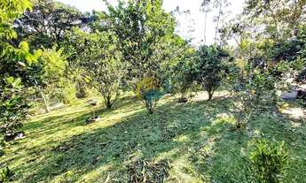 Imagem 7: 3 RIACHOS - GOV CELSO RAMOS .???? Imperdível! Chácara dos Sonhos com Casa, Piscina, Pomar