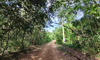 Imagem 4: Piri Piri - 3 km 372 m de RIO