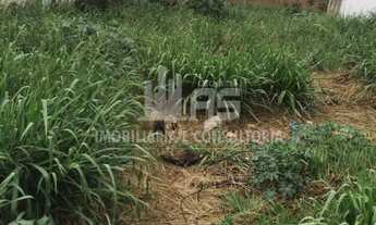 Imagem: Terreno à venda no Alto Cafezal