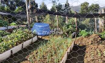 Imagem 5: Chácara Campo Magro