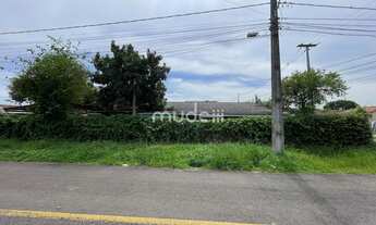 Imagem 2: Terreno em Guatupê, São José dos Pinhais