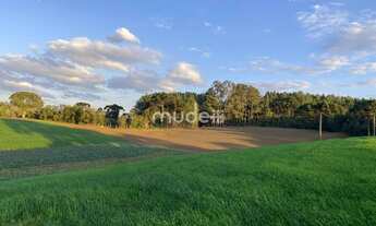 Imagem 4: Terreno no Colônia Mergulhâo