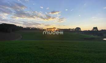 Imagem 6: Terreno no Colônia Mergulhâo