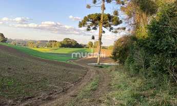 Imagem 5: Terreno no Colônia Mergulhâo