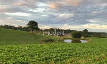 Imagem 2: Terreno no Colônia Mergulhâo