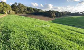 Imagem 3: Terreno no Colônia Mergulhâo