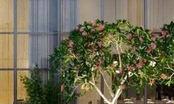 Imagem 2: Apartamento 3 quartos sendo 2 suites com 2 vagas de garagem