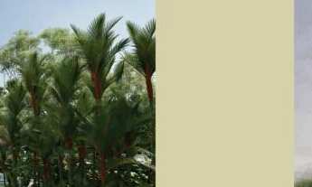 Imagem 2: Apartamento de 2 quartos sendo 1 suite