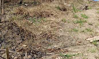 Imagem 4: Terreno á Venda!