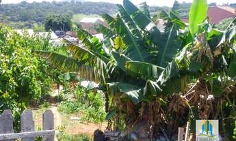 Imagem 2: TERERNO Á VENDA EM SANTANA DE PARNAÍBA - SP