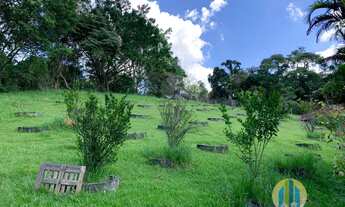 Imagem 6: Chácara Maravilhosa, 2 dormitórios, 1 banheiros, 13590M² de Área Construída, 13590M² de Ár