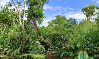 Imagem 3: Terreno à Venda em Santana de Parnaíba