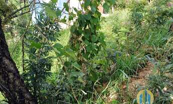 Imagem 4: Terreno à Venda em Santana de Parnaíba