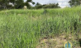 Imagem 6: Terreno a venda no suru