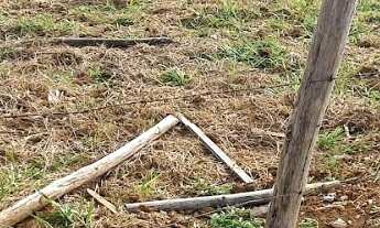 Imagem 7: Terreno à venda no bairro Parque Jaguari - Santana de Parnaíba/SP