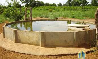 Imagem 7: Linda Fazenda/MS