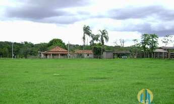 Imagem 2: Linda Fazenda/MS