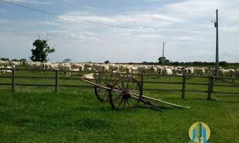 Imagem: Linda Fazenda/MS