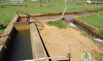 Imagem 4: Linda Fazenda/MS