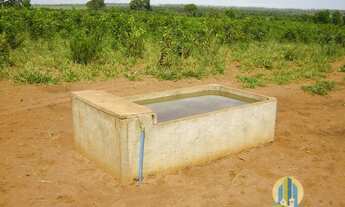 Imagem 5: Linda Fazenda/MS