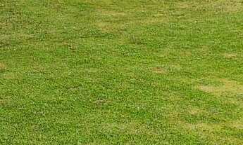 Imagem 2: Sítio à venda em Ibiúna/SP