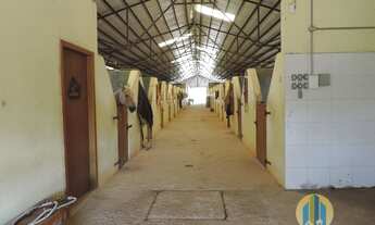 Imagem 4: Haras à venda no bairro Centro - Jacareí/SP