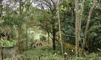 Imagem 2: Terreno Excelente, 2700M² de Área Construída, 2700M² de Área Total