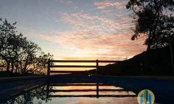 Imagem 3: Sitio Lindo á Venda no Suru