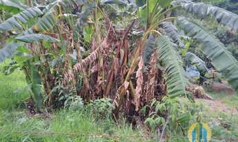 Imagem 3: Excelente terreno a venda no Parque Mirante