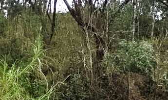 Imagem: Terreno à venda no bairro Recanto Maravilha