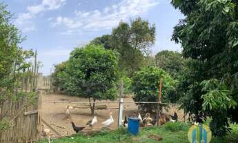 Imagem 5: Chácara a venda no Suru