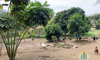 Imagem 6: Chácara a venda no Suru